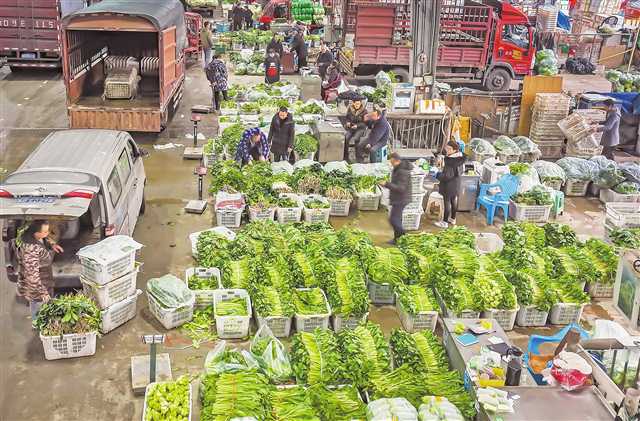 重庆农产品批发市场实景图